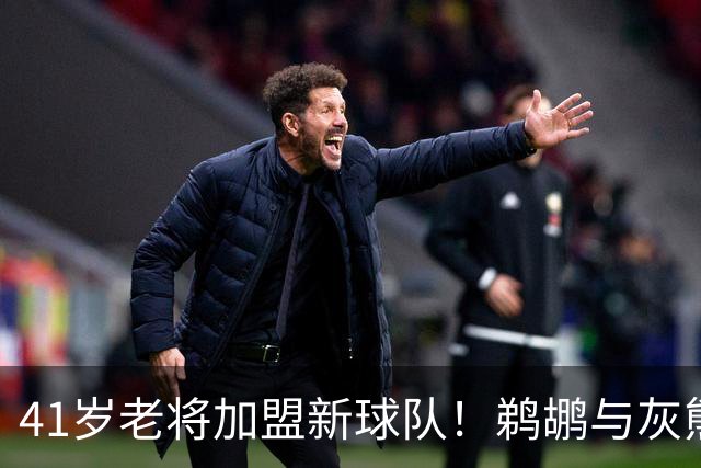 41岁老将加盟新球队！鹈鹕与灰熊完成交易